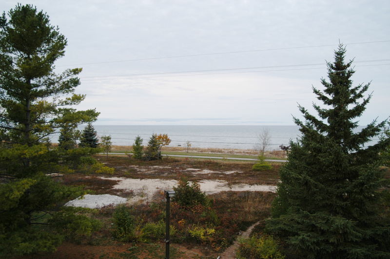 Driftwood Motel - View From Rear Of Motel